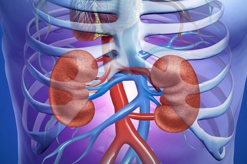 Acute Kidney Disease